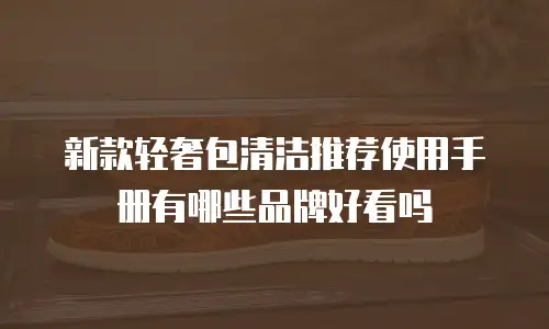 新款轻奢包清洁推荐使用手册有哪些品牌好看吗