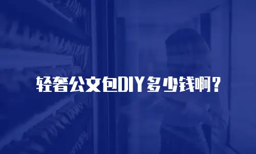 轻奢公文包DIY多少钱啊？