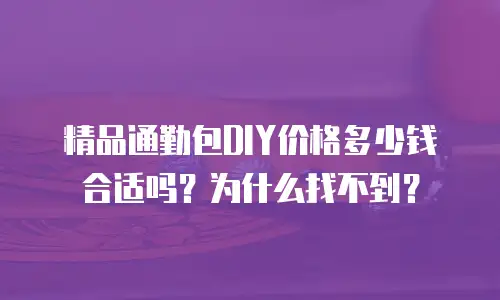 精品通勤包DIY价格多少钱合适吗？为什么找不到？