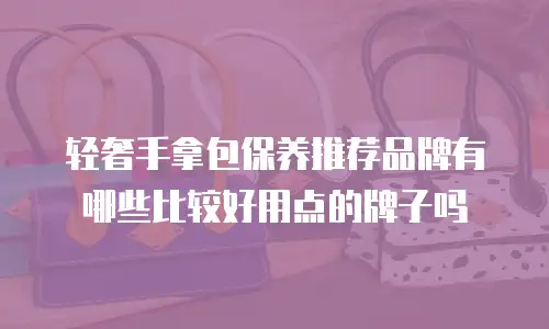 轻奢手拿包保养推荐品牌有哪些比较好用点的牌子吗