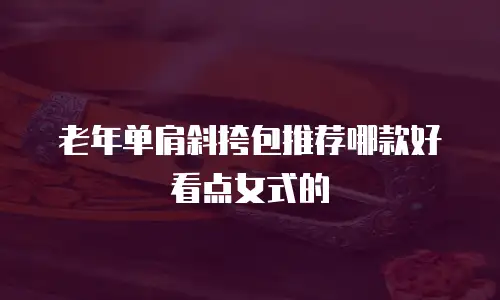 老年单肩斜挎包推荐哪款好看点女式的