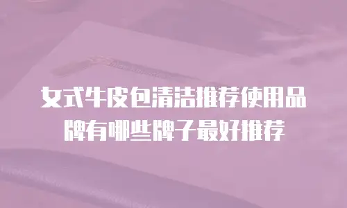 女式牛皮包清洁推荐使用品牌有哪些牌子最好推荐