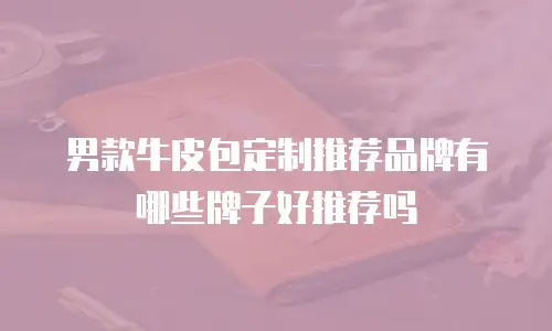 男款牛皮包定制推荐品牌有哪些牌子好推荐吗