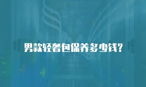 男款轻奢包保养多少钱？