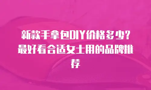 新款手拿包DIY价格多少？最好看合适女士用的品牌推荐