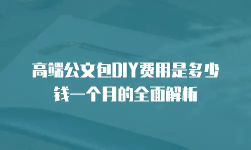 高端公文包DIY费用是多少钱一个月的全面解析