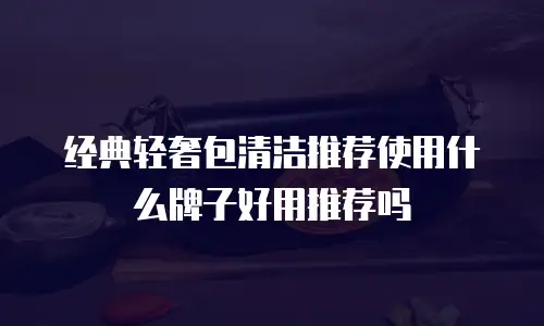 经典轻奢包清洁推荐使用什么牌子好用推荐吗