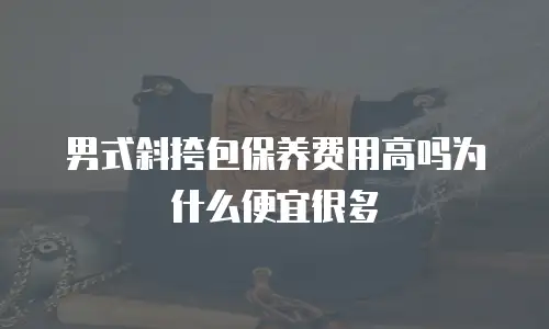 男式斜挎包保养费用高吗为什么便宜很多