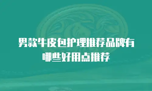 男款牛皮包护理推荐品牌有哪些好用点推荐