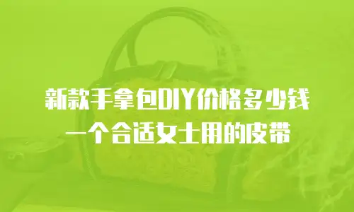 新款手拿包DIY价格多少钱一个合适女士用的皮带