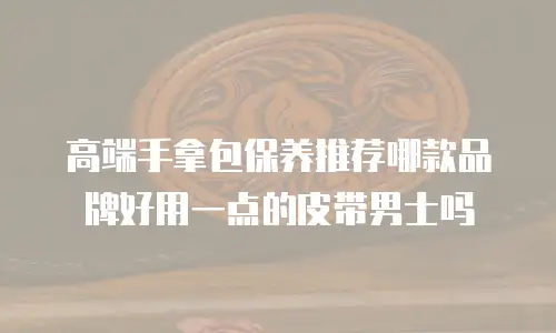 高端手拿包保养推荐哪款品牌好用一点的皮带男士吗