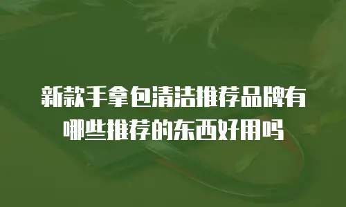 新款手拿包清洁推荐品牌有哪些推荐的东西好用吗