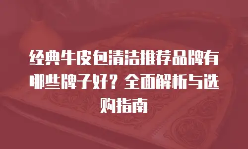 经典牛皮包清洁推荐品牌有哪些牌子好？全面解析与选购指南