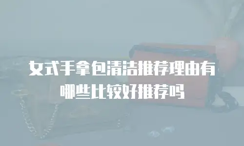 女式手拿包清洁推荐理由有哪些比较好推荐吗