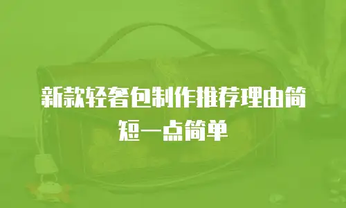 新款轻奢包制作推荐理由简短一点简单