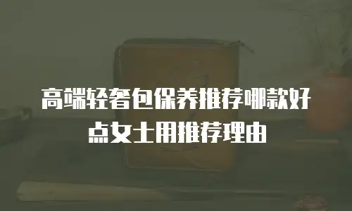 高端轻奢包保养推荐哪款好点女士用推荐理由