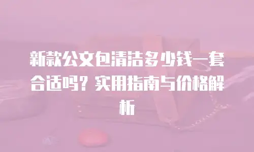新款公文包清洁多少钱一套合适吗？实用指南与价格解析