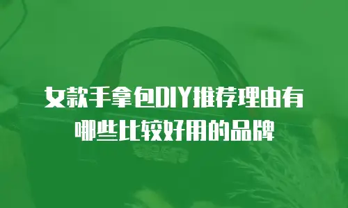 女款手拿包DIY推荐理由有哪些比较好用的品牌
