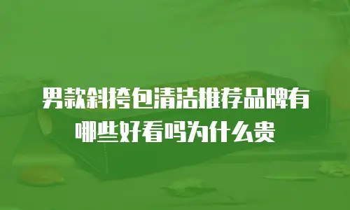 男款斜挎包清洁推荐品牌有哪些好看吗为什么贵