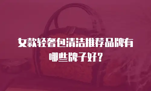 女款轻奢包清洁推荐品牌有哪些牌子好？