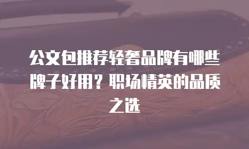 公文包推荐轻奢品牌有哪些牌子好用？职场精英的品质之选