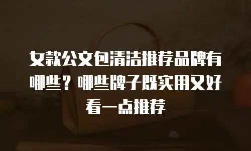 女款公文包清洁推荐品牌有哪些？哪些牌子既实用又好看一点推荐