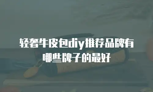 轻奢牛皮包diy推荐品牌有哪些牌子的最好