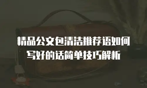 精品公文包清洁推荐语如何写好的话简单技巧解析