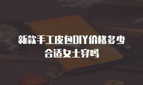 新款手工皮包DIY价格多少合适女士穿吗