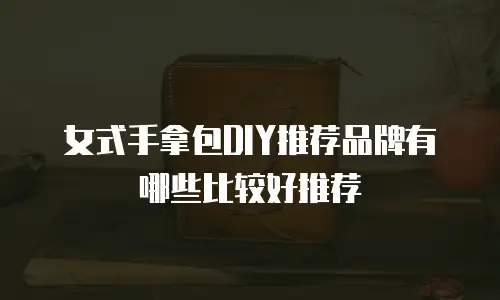 女式手拿包DIY推荐品牌有哪些比较好推荐