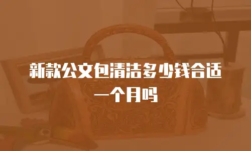 新款公文包清洁多少钱合适一个月吗
