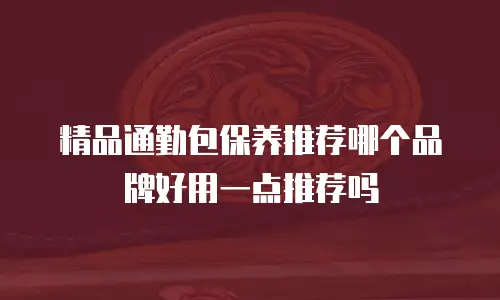 精品通勤包保养推荐哪个品牌好用一点推荐吗