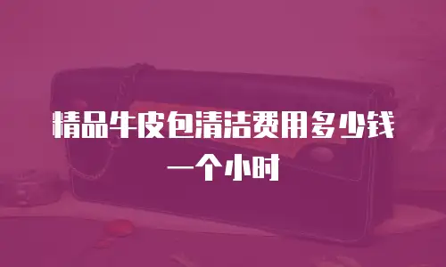 精品牛皮包清洁费用多少钱一个小时