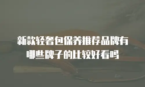 新款轻奢包保养推荐品牌有哪些牌子的比较好看吗