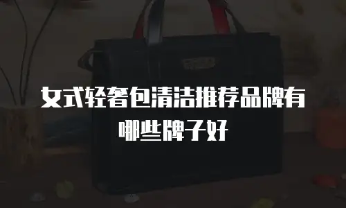 女式轻奢包清洁推荐品牌有哪些牌子好