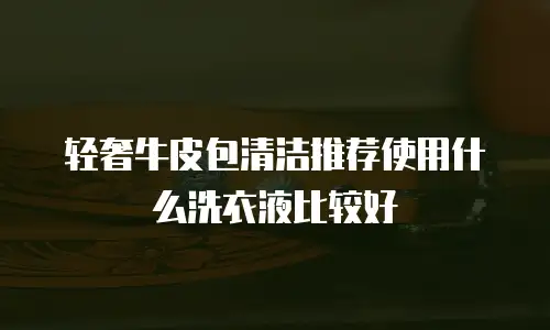 轻奢牛皮包清洁推荐使用什么洗衣液比较好