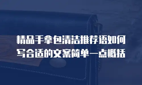 精品手拿包清洁推荐语如何写合适的文案简单一点概括