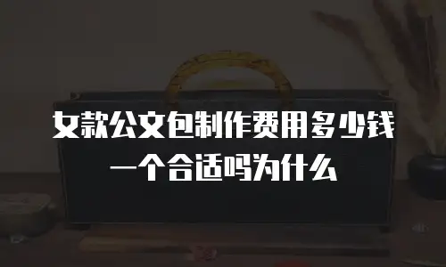 女款公文包制作费用多少钱一个合适吗为什么