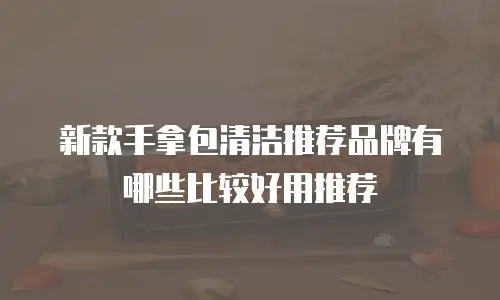 新款手拿包清洁推荐品牌有哪些比较好用推荐