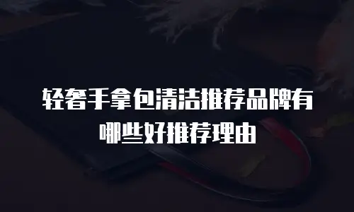 轻奢手拿包清洁推荐品牌有哪些好推荐理由