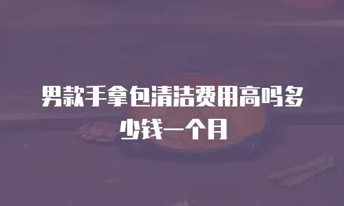 男款手拿包清洁费用高吗多少钱一个月