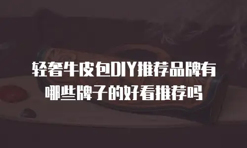 轻奢牛皮包DIY推荐品牌有哪些牌子的好看推荐吗