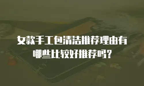 女款手工包清洁推荐理由有哪些比较好推荐吗？
