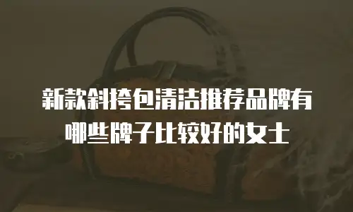 新款斜挎包清洁推荐品牌有哪些牌子比较好的女士