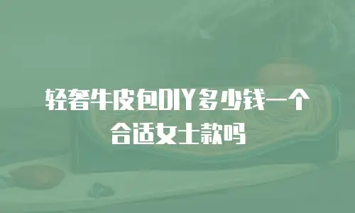 轻奢牛皮包DIY多少钱一个合适女士款吗