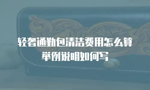 轻奢通勤包清洁费用怎么算举例说明如何写