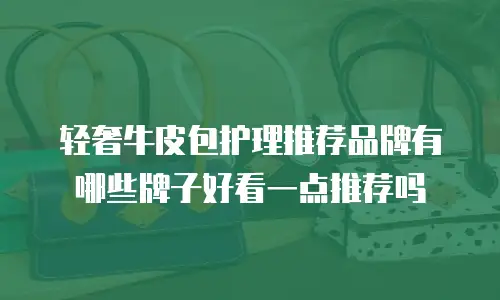 轻奢牛皮包护理推荐品牌有哪些牌子好看一点推荐吗