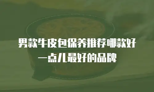 男款牛皮包保养推荐哪款好一点儿最好的品牌
