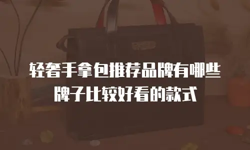 轻奢手拿包推荐品牌有哪些牌子比较好看的款式