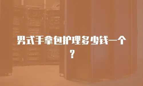 男式手拿包护理多少钱一个？